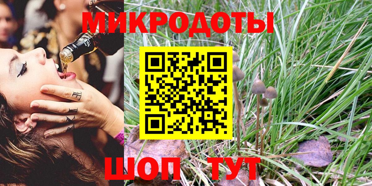Псилоцибиновые грибы Cubensis Новотроицк