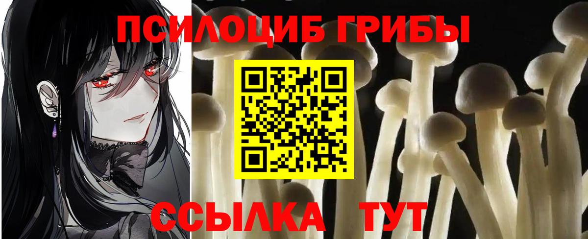 Новотроицк  закладки  Вход с VPN  Галлюциногенные грибы Psilocybe 